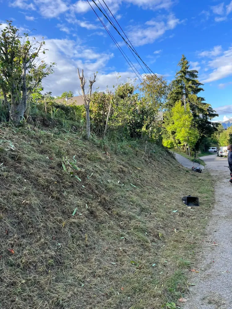 Aide entretien jardin