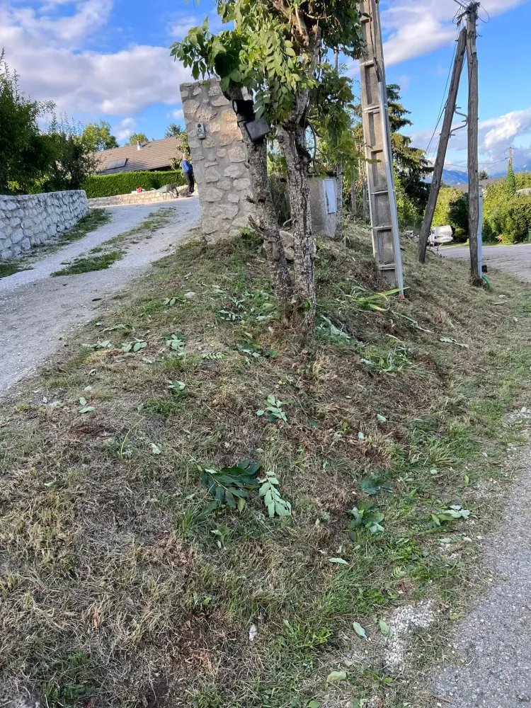 Aide entretien jardin