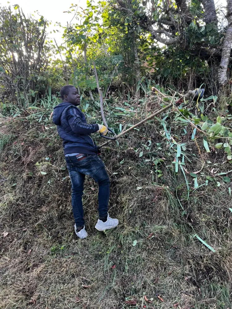 Aide entretien jardin